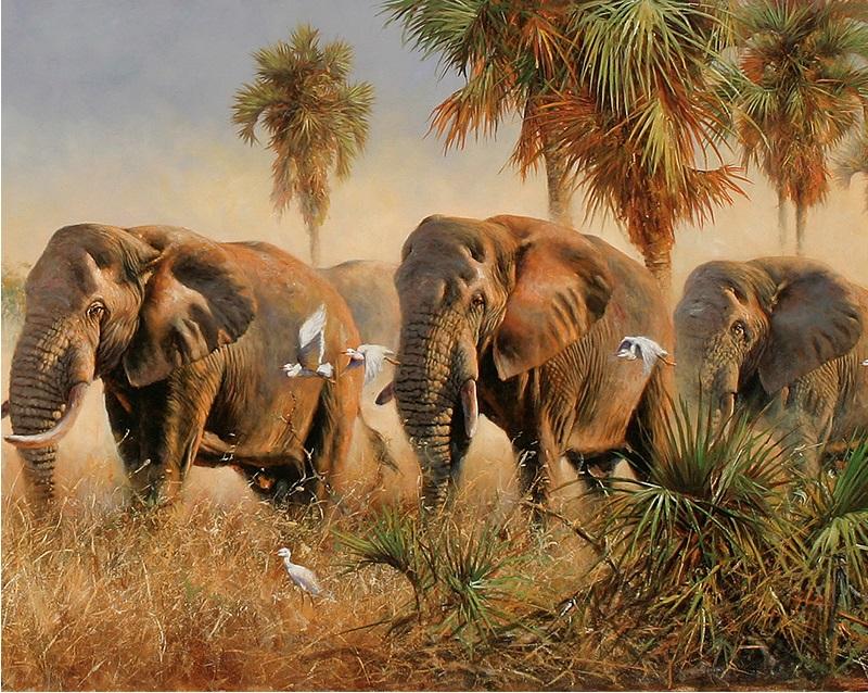 

Majestic elephants – Paint By Numbers - 40*50CM, 501 Original