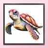 >SALE<Full Embroidery Eco-cotton Thread 14CT Printed Sea Turtle Cross Stitch 40x40cm