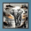 Elefant - Rundbohrer Diamant Malerei - 40 * 40cm