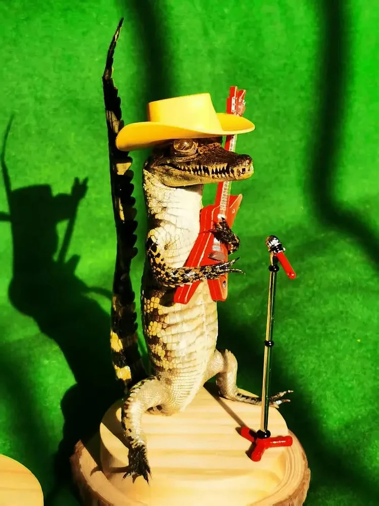 Rocking Alligator Baby Statue with Guitars 