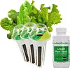 Heirloom Salad Vegetables Greens Mix Seed Pod Kit