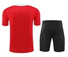 2024/2025 Barcelona Pre-match Training Red Shirt+Shorts 1:1 Thai Quality
