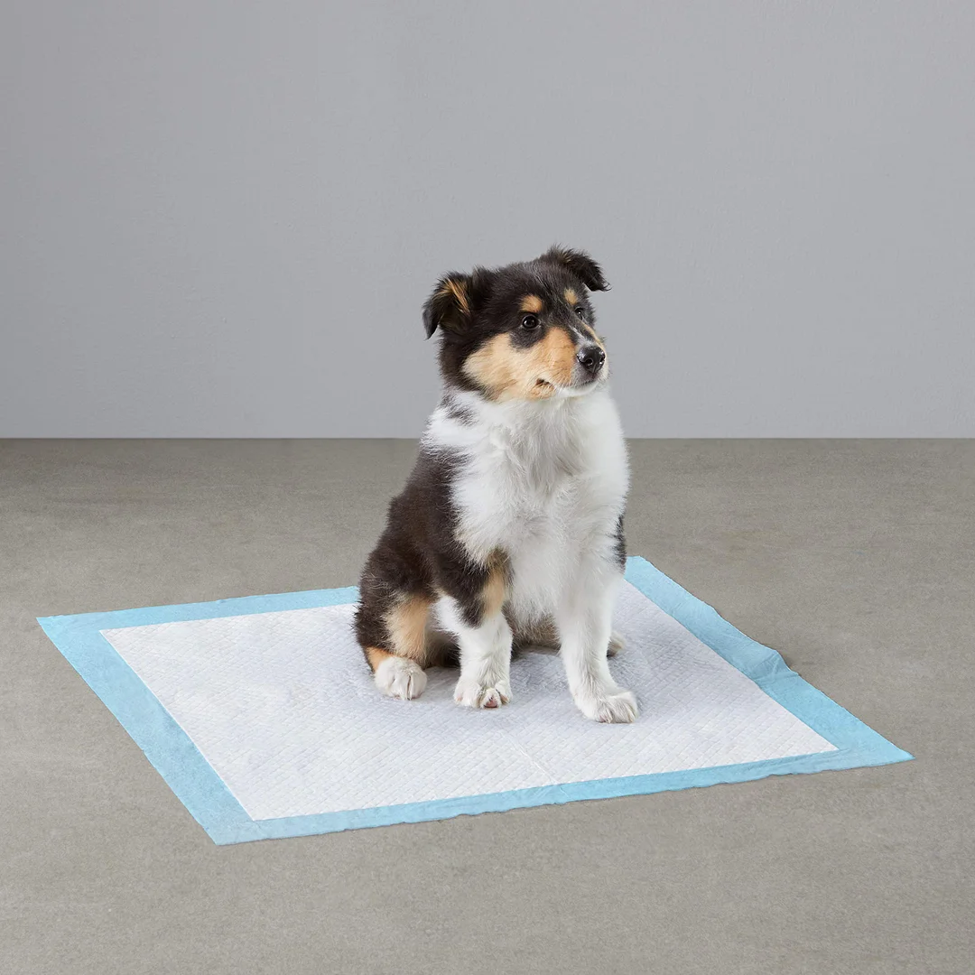 Super Absorbent Pet Diaper Dog Training Pee Pads Disposable Healthy Nappy Mat For Cats Dog Diapers Cage Mat