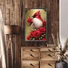 Diamond Painting -DIY Round Partial AB Drill Cardinal(45x65cm)
