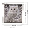 Snow Glow Owl -Special Shaped Diamond Painting