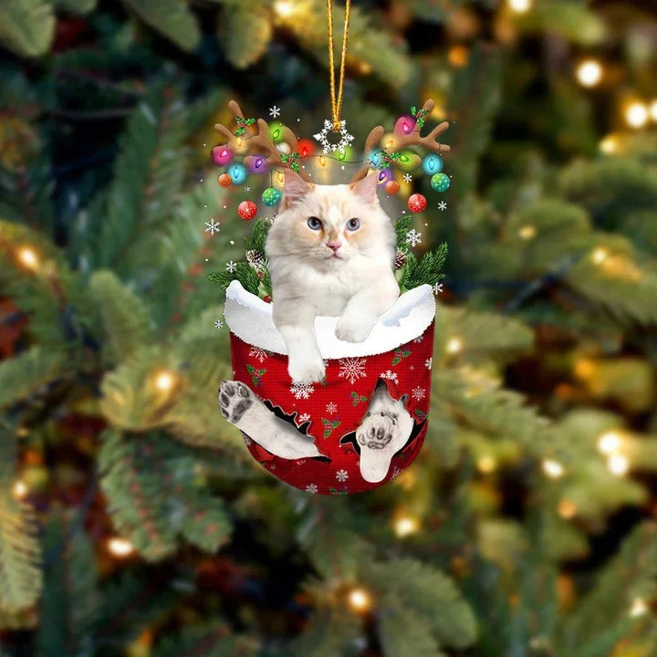 Cornish Rex Cat In Snow Pocket Christmas Ornament.