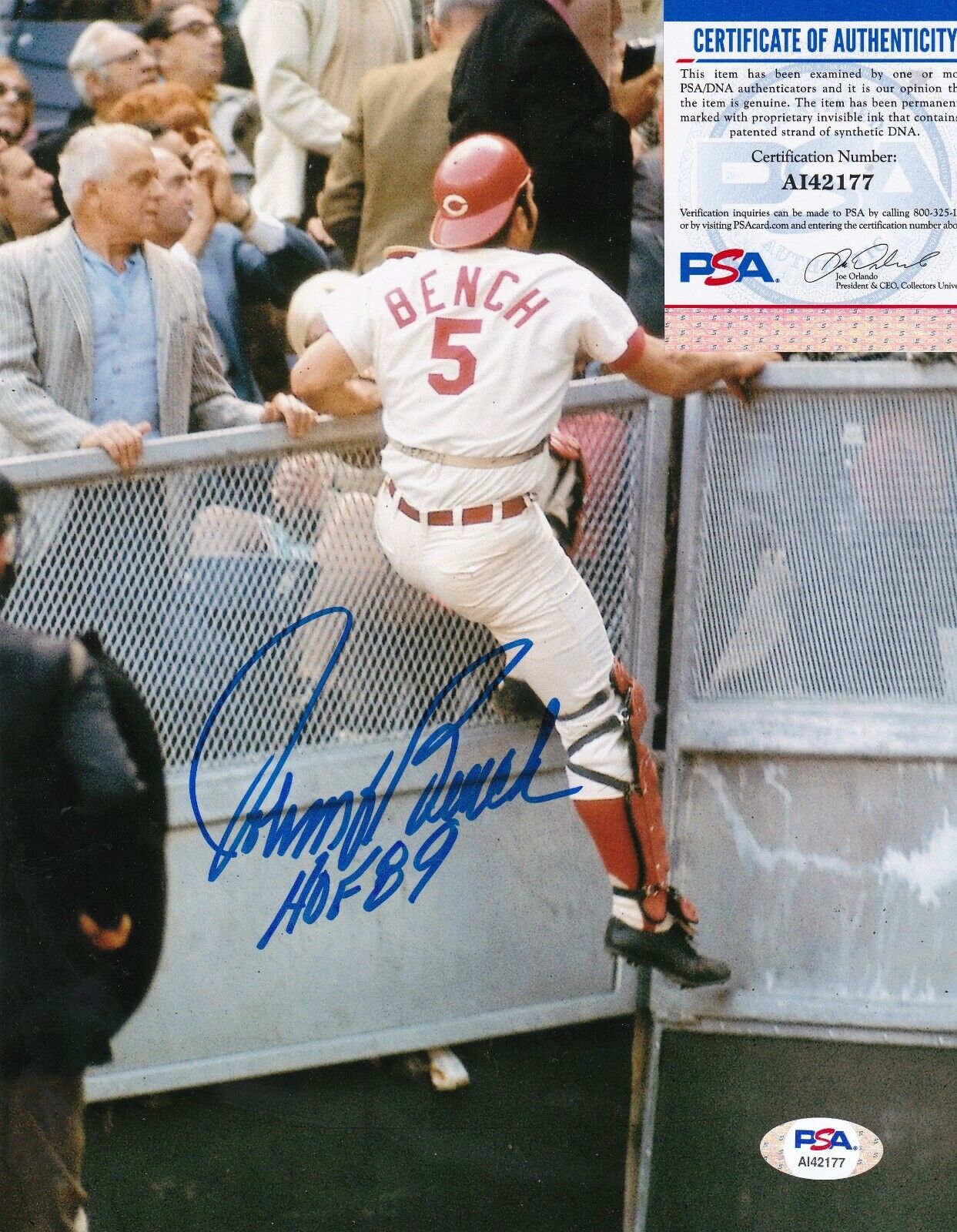 JOHNNY BENCH CINCINNATI REDS HOF 89 PSA AUTHENTICATED ACTION SIGNED 8x10