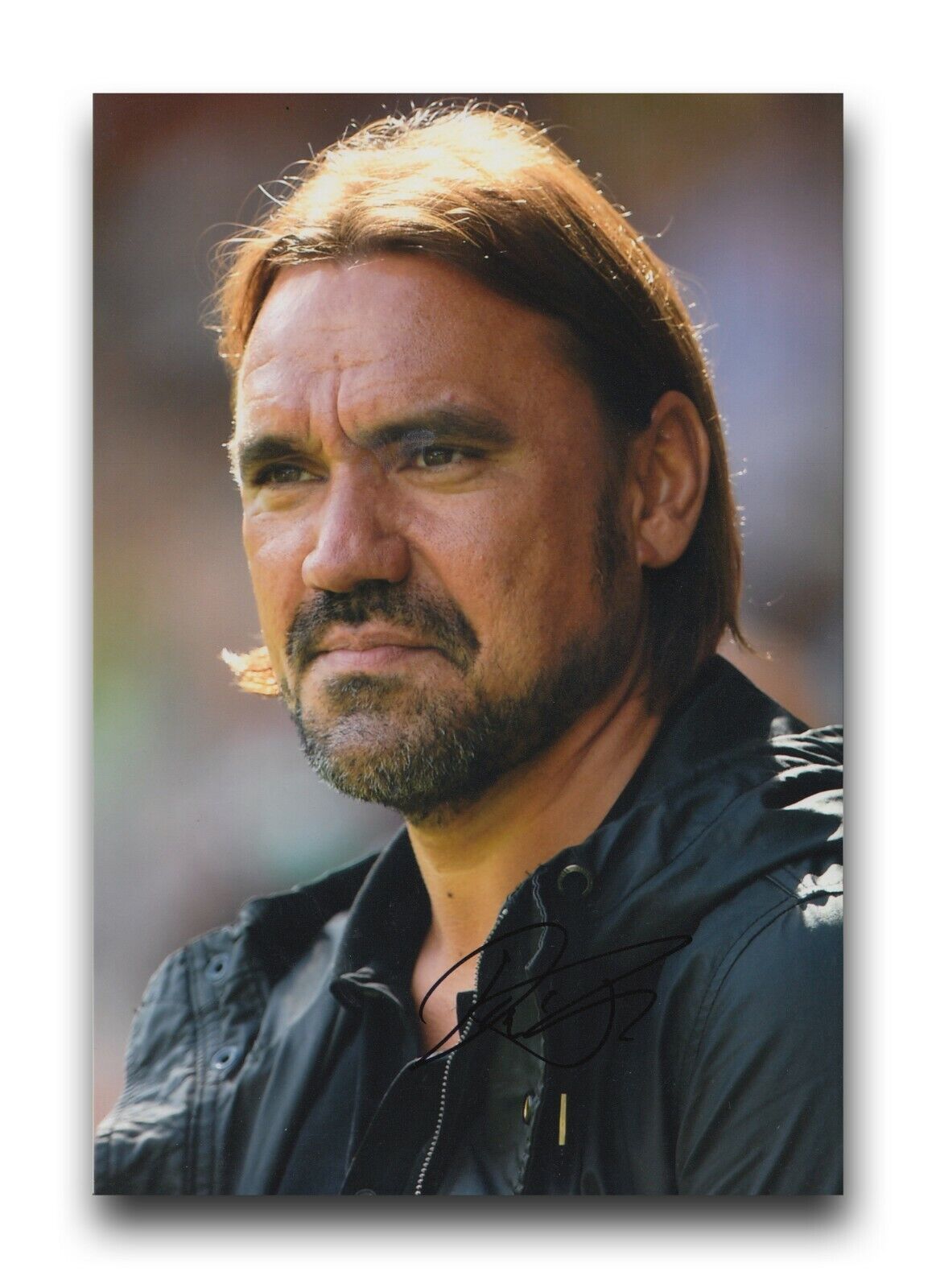 DANIEL FARKE HAND SIGNED NORWICH CITY 12X8 Photo Poster painting 1.