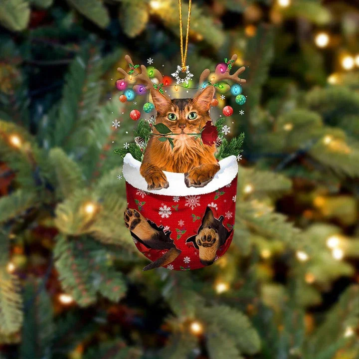 Somali Cat In Snow Pocket Christmas Ornament.