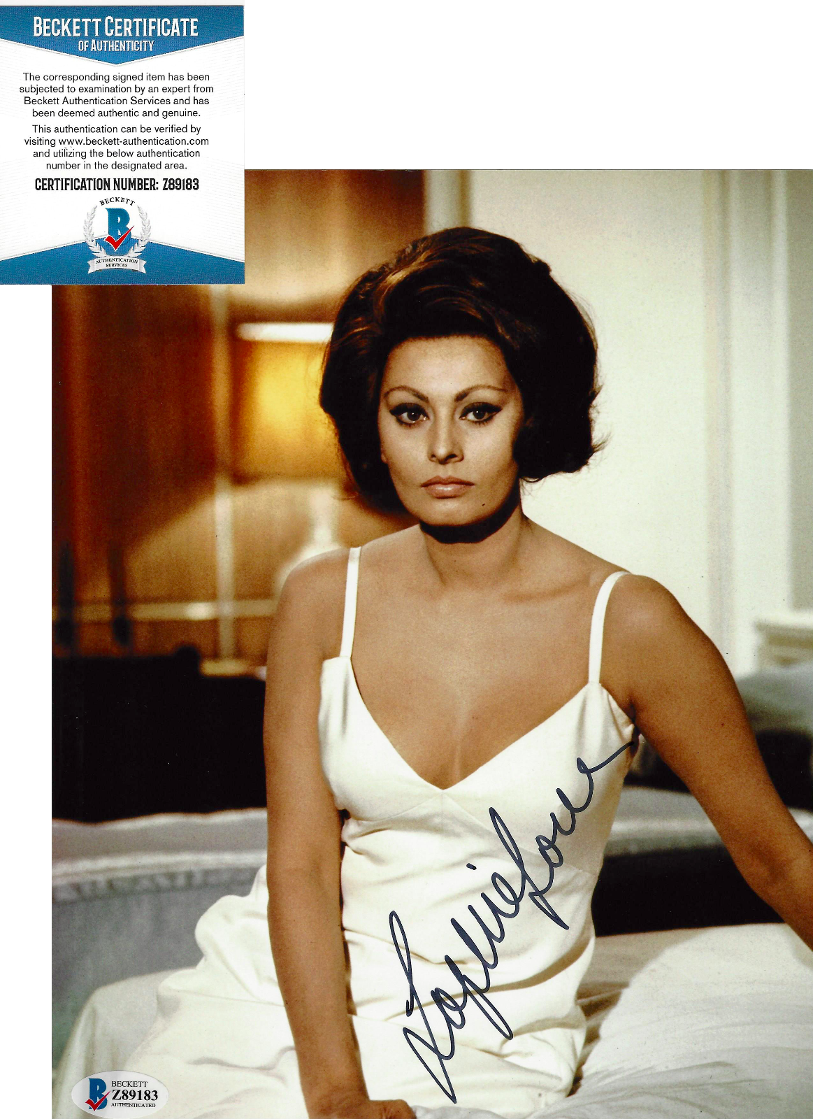 SOPHIA LOREN SIGNED 8x10 MOVIE Photo Poster painting 8 ITALIAN SEXY ACTRESS BECKETT COA BAS