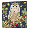 DIY Special Shape Pearl Painting Art - Christmas Owl