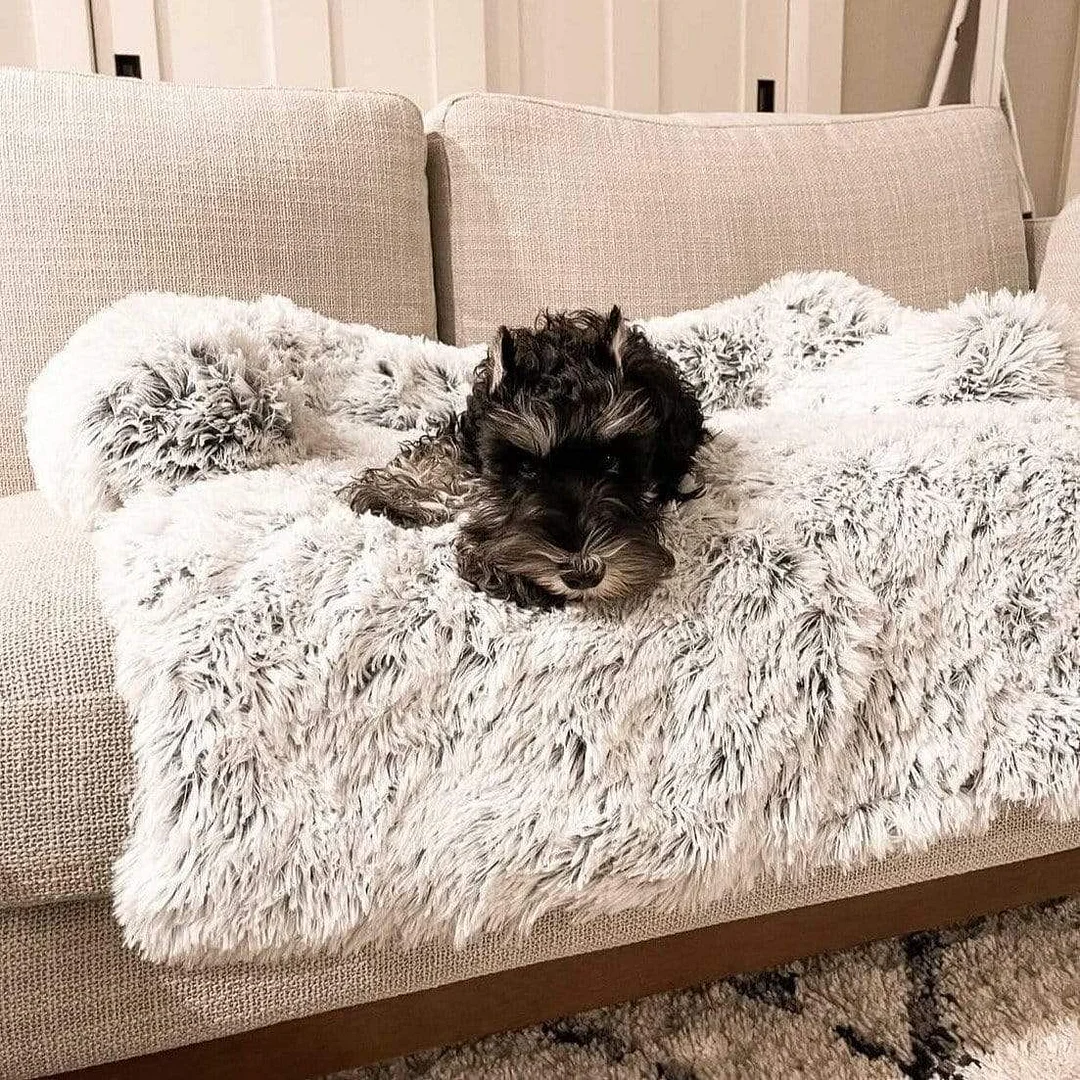 Calming Pet Couch Cover Protector 2 in 1 Dog Sofa Bed 