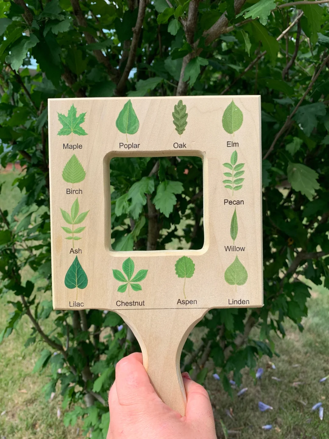 49% OFF🔥Nature Guide Finder