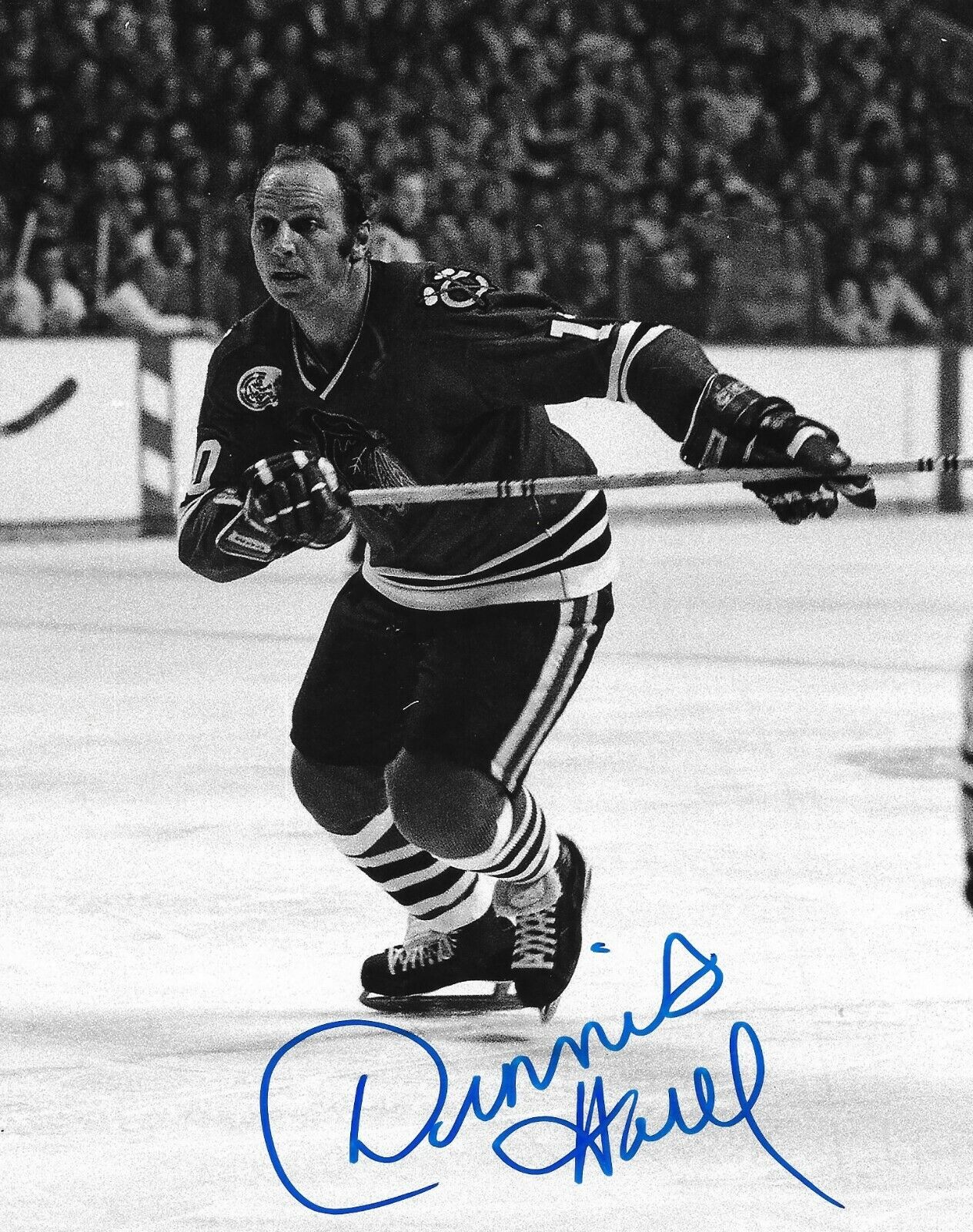 Dennis Hull signed Chicago Blackhawks 8x10 Photo Poster painting autographed Hawks 2