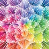 Flower | Full Round/Square Diamond Painting Kits | 20x20-50x50cm
