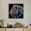 (Box Packaging)Diamond Painting -DIY Round Drill Squid