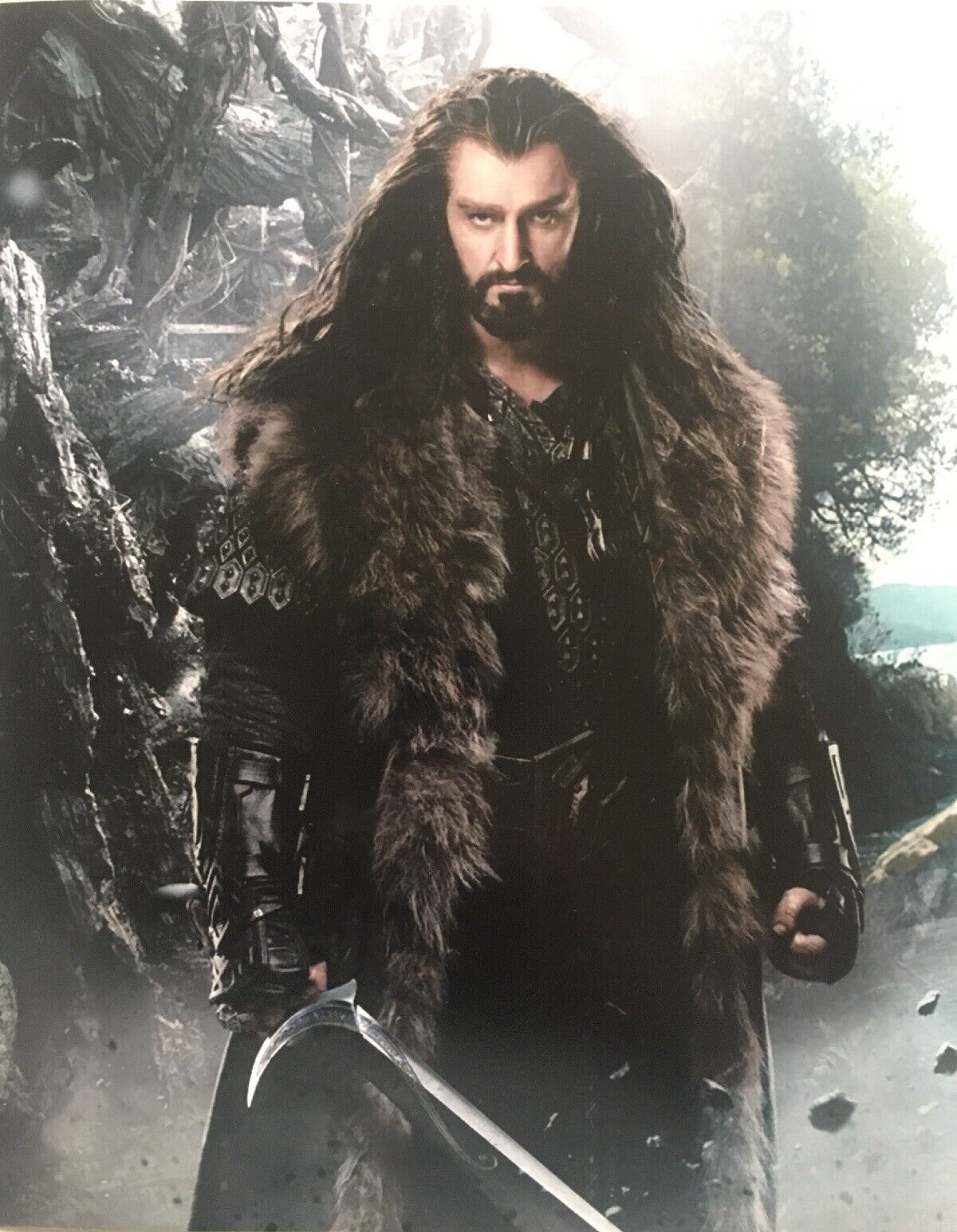 Richard Armitage 8x10 Photo Poster painting Print HOBBIT