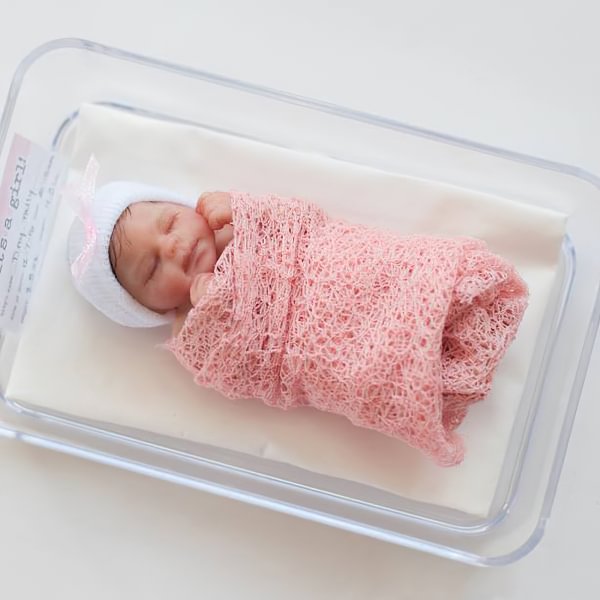 Miniature Doll Sleeping Reborn Baby Doll, 6 inch Realistic Newborn Baby Doll Named Aubree