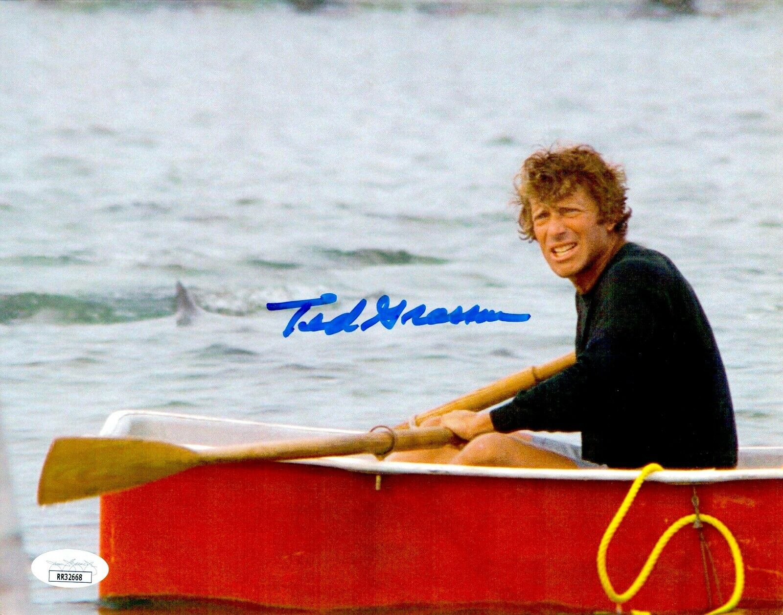 TED GROSSMAN Signed 8x10 Photo Poster painting JAWS GOONIES In-Person Autograph JSA COA Cert