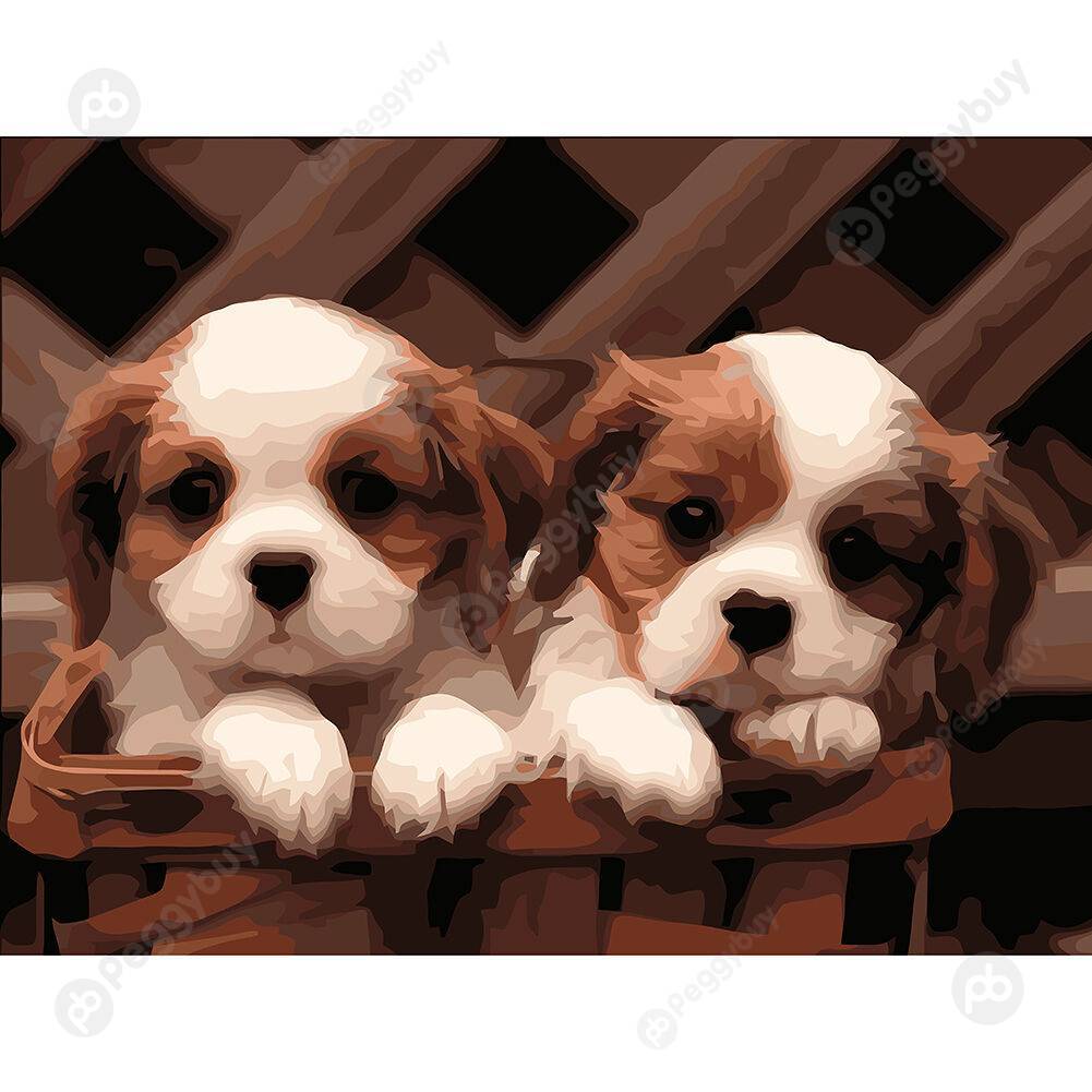 

30*40CM Paint By Numbers-Two Puppy, 501 Original