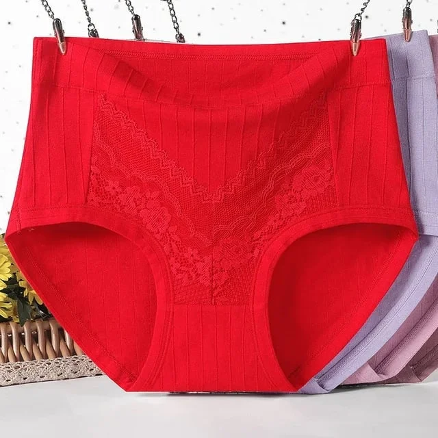2023 Newest Large Size Hygroscopic Lace Cotton Underwear Radinnoo.com