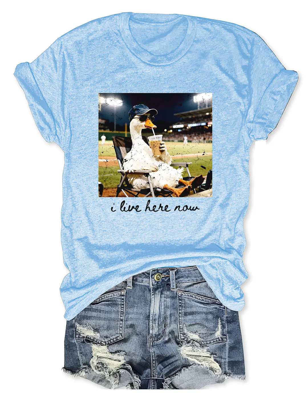 I live Here Now Goose Ballfield T-shirt