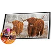 >SALE<5D DIY Full Square Drill Diamond Painting Yak Kit Art Home Decoration (ZQA277)