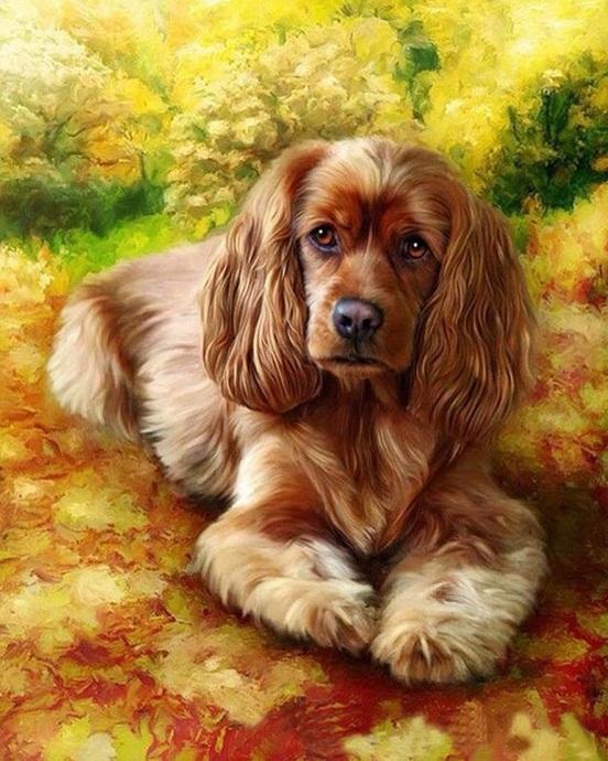 

Brown Dog – Paint By Numbers - 40*50CM, 501 Original
