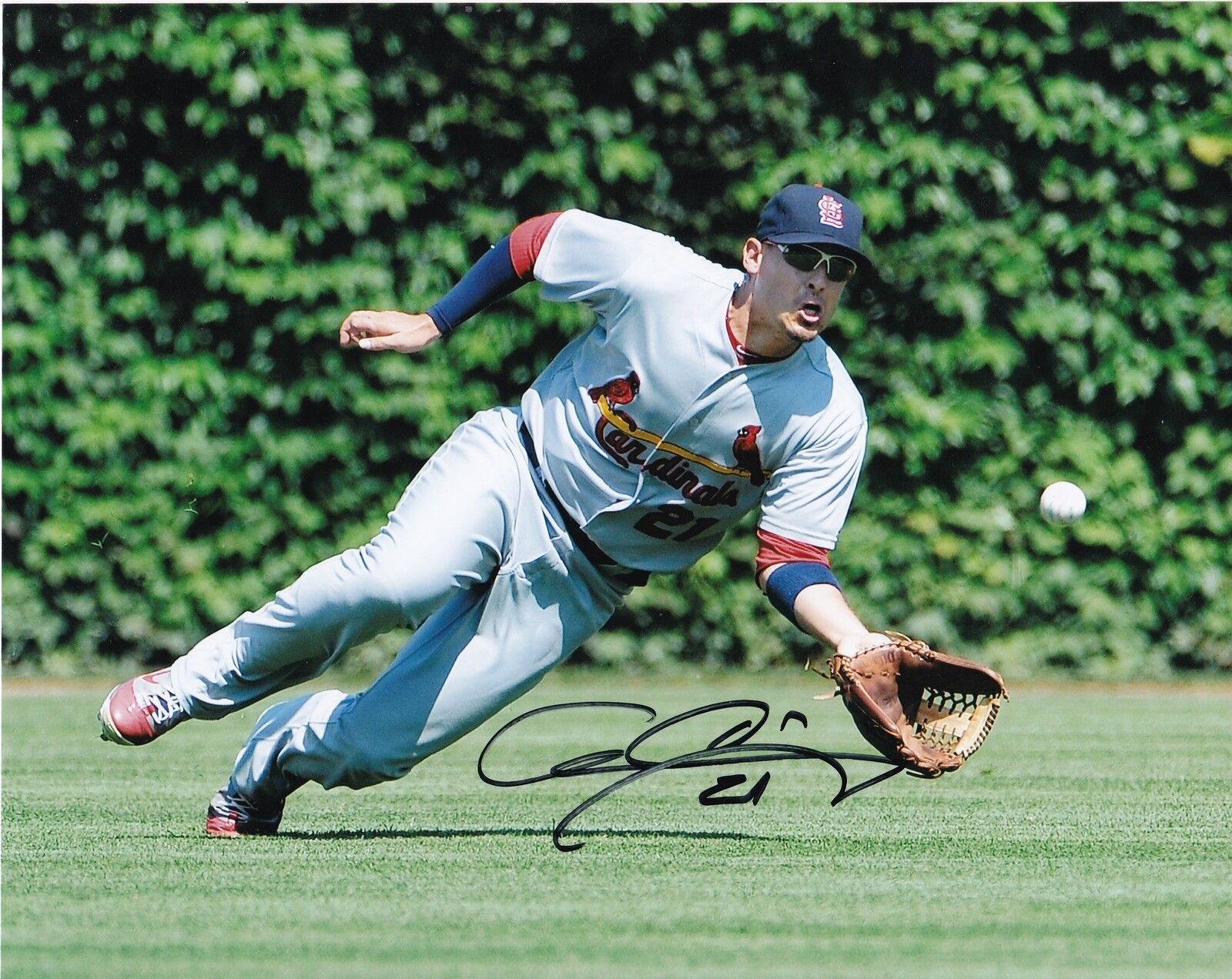 ALLEN CRAIG ST. LOUIS CARDINALS ACTION SIGNED 8x10