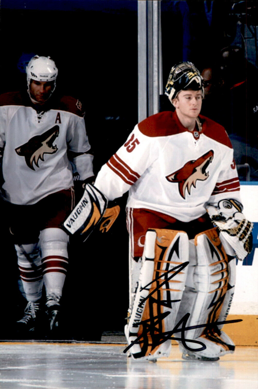 Tom Fenton SIGNED autographed 4x6 Photo Poster painting ARIZONA COYOTES