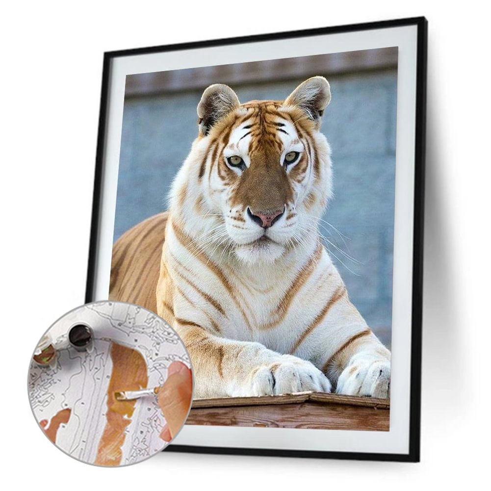 40*50CM Malen nach Zahlen Tiger