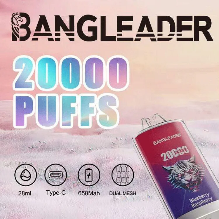 Bang Leader 20000 20K Puffs Newest Product (Box of 3) mysite www.vapeshoppromax.com