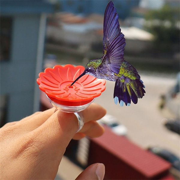 Hummingbird Ring Feeder