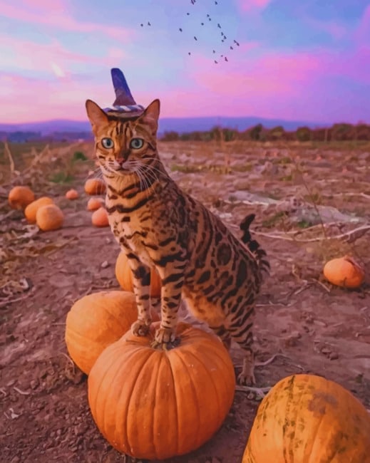 

Bengal Cat Celebrating The Halloween – Paint By Numbers - 40*50CM, 501 Original