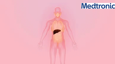 1704638278558706.gif Regeneracja wątroby.gif