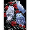 Diamond Painting -Full Square Drill Owl