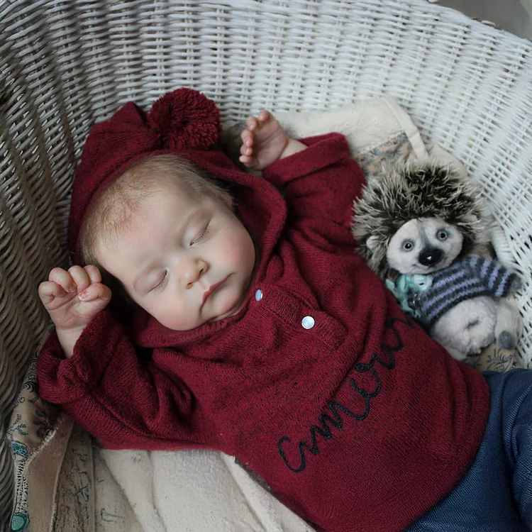 [Heartbeat & Sound] 20" Silicone Vinyl Body Reborn Baby Boy Doll, Newborn Baby Boy with Realistic Heartbeat Named Esme