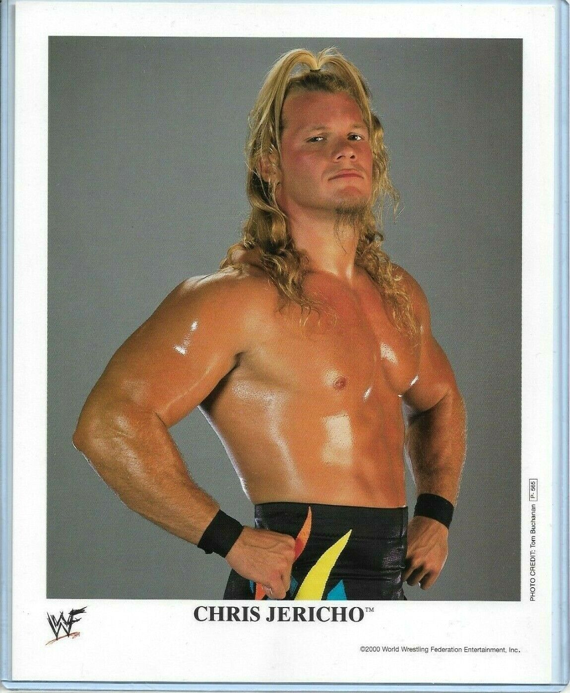 WWE CHRIS JERICHO P-565 OFFICIAL LICENSED AUTHENTIC ORIGINAL 8X10 PROMO Photo Poster painting