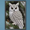 Owl-Special Shaped Diamond Painting