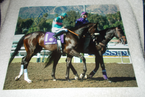 MIKE SMITH ZENYATTA 2008 BREEDERS CUP CLASSIC SIGNED 8x10 HORSE RACING Photo Poster painting