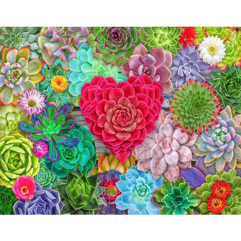 Love Succulent Plants - Full Round - Diamond Painting