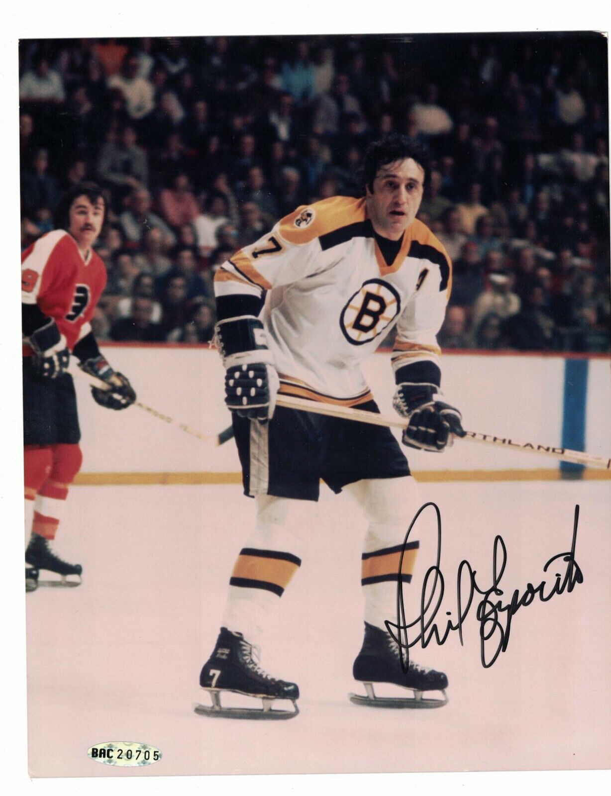 Phil Esposito Boston Bruins Signed 8 x 10