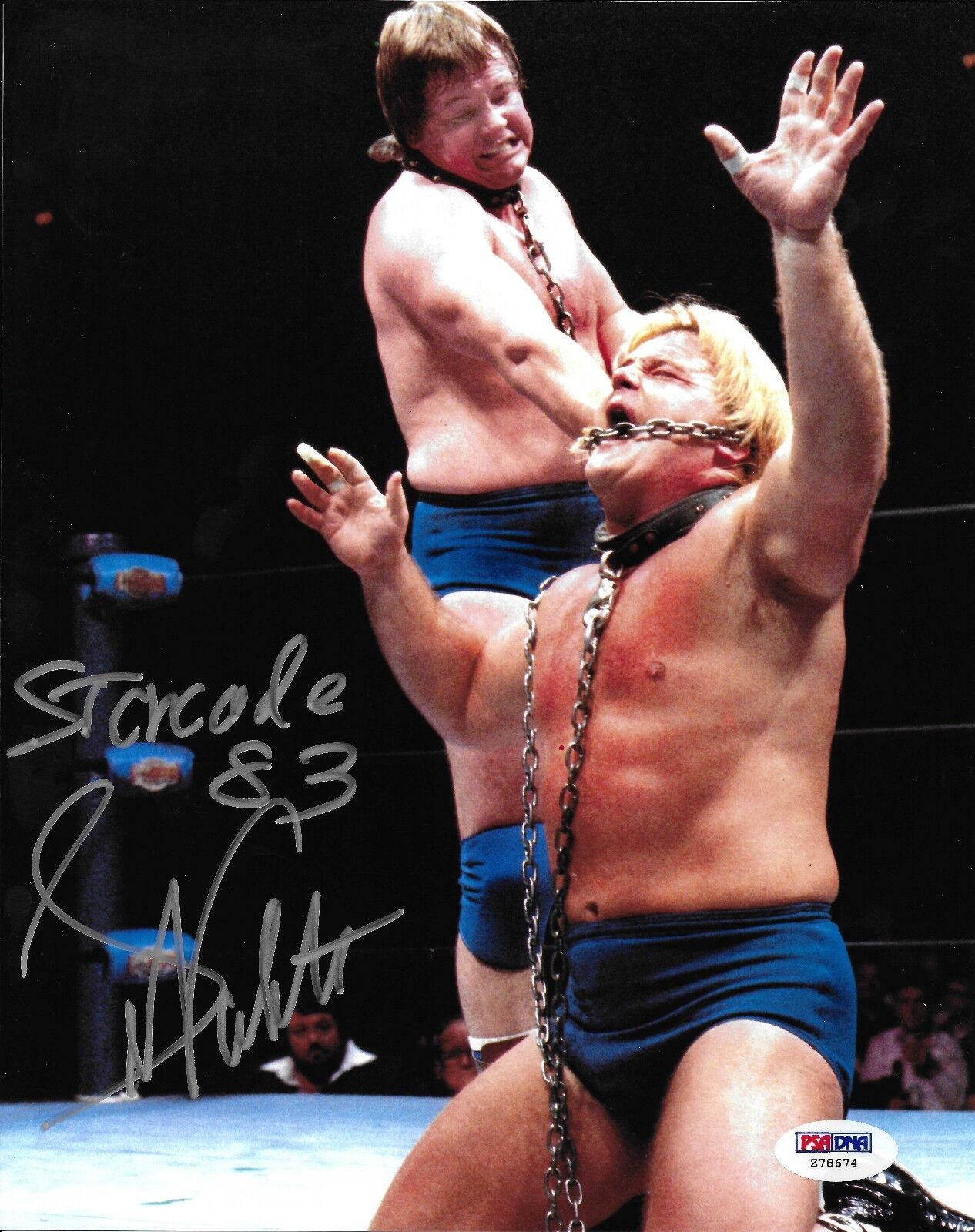 Greg Valentine Signed WWE 8x10 Photo Poster painting PSA/DNA COA NWA 1983 Starrcade Roddy Piper