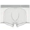 Men's Sexy Ultra-Thin Ice Silk Mesh-Panelled Transparent Boxer Briefs
