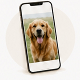 Upload Your Photo