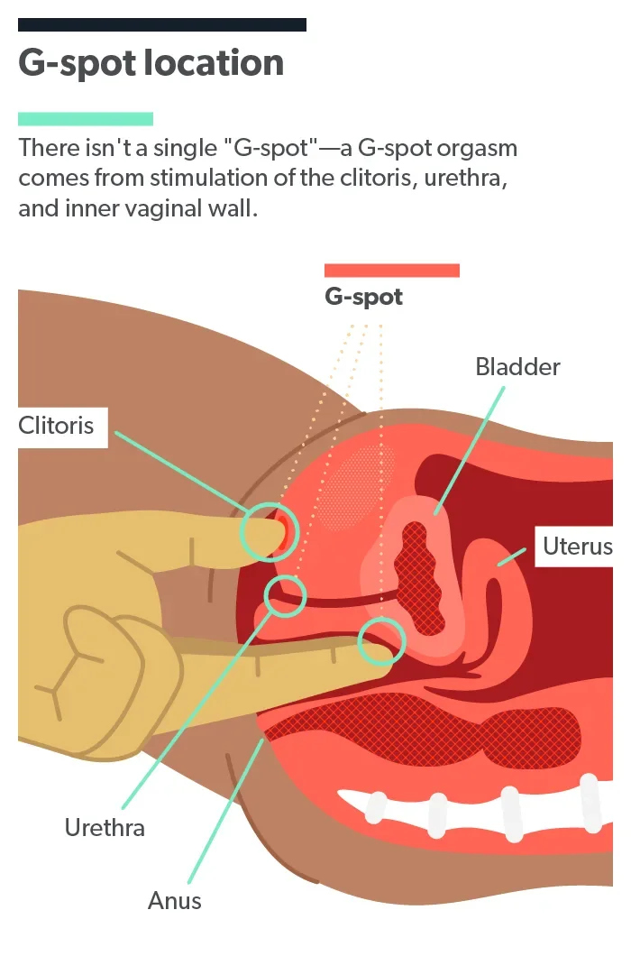 How to Use a G-Spot Vibrator?