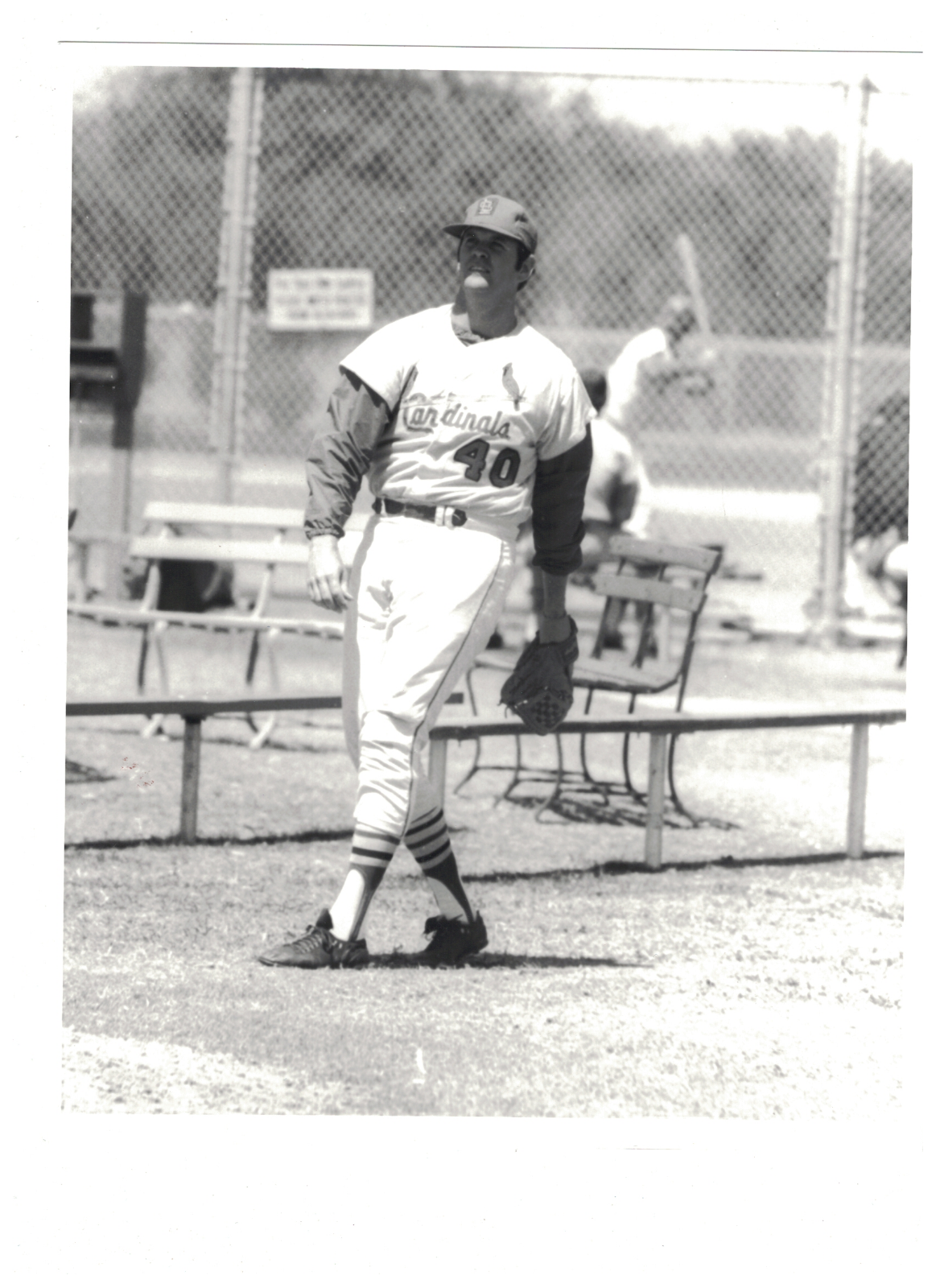 Bruce Von Hoff St. Louis Cardinals 8x10 Vintage Baseball Photo Poster painting RH2