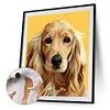 Painting By Numbers - DIY Dog(40*50cm)