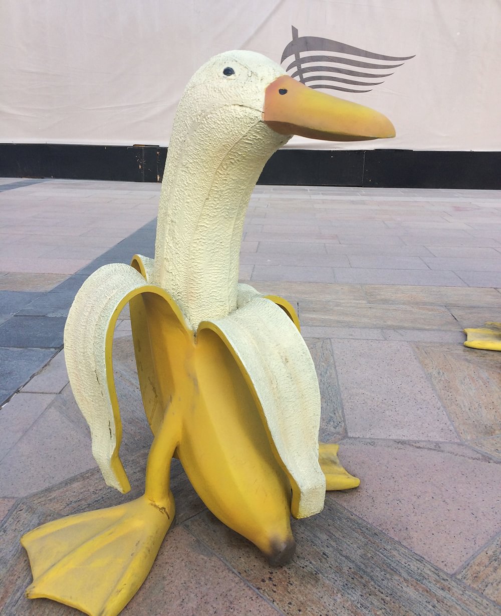 Lost Tourist Banana Duck