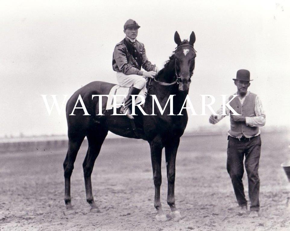 EXTERMINATOR 1918 American Thoroughbred Derby Horse 8 x 10 Photo Poster painting Poster